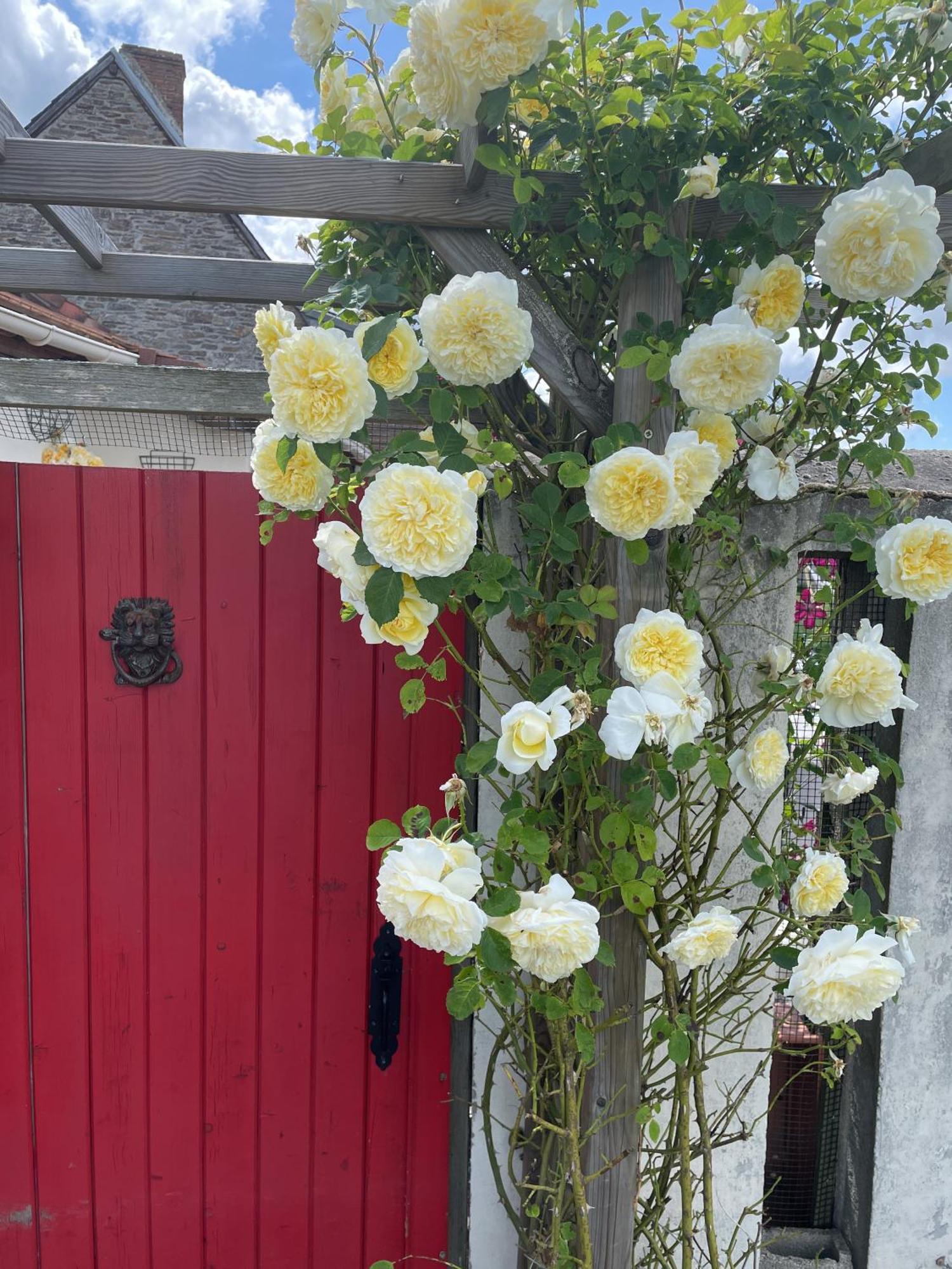 Delightful French Rustic Studio Jumilhac-le-Grand Kültér fotó